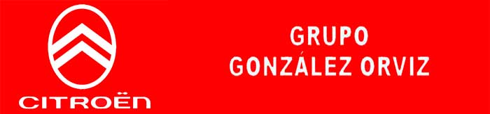 Grupo-González-Orviz-Motor